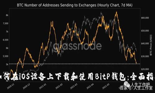 如何在iOS设备上下载和使用BitP钱包：全面指南