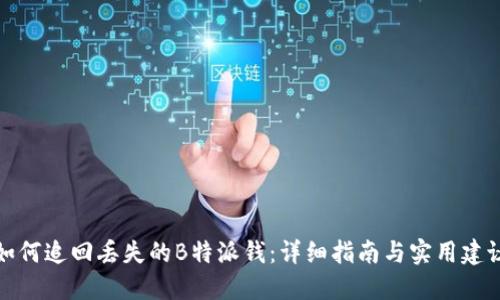 如何追回丢失的B特派钱：详细指南与实用建议