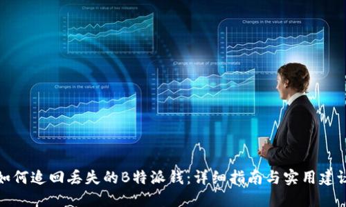 如何追回丢失的B特派钱：详细指南与实用建议