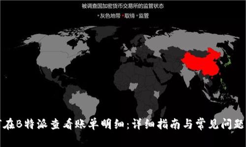 如何在B特派查看账单明细：详细指南与常见问题解答
