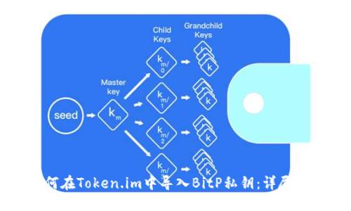 如何在Token.im中导入BitP私钥：详尽指南