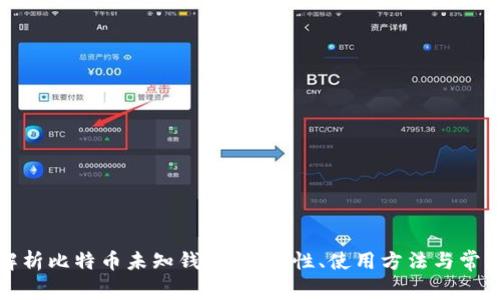 全面解析比特币未知钱包：安全性、使用方法与常见问题