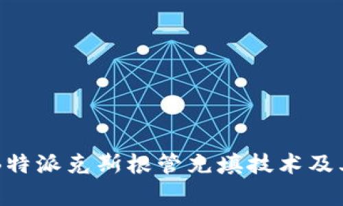 深入解析B特派克斯根管充填技术及其临床应用