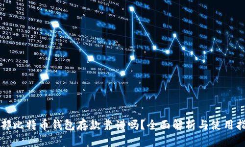 外部比特币钱包存款靠谱吗？全面解析与使用指南