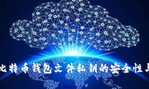 早期比特币钱包文件私钥的安全性与管理