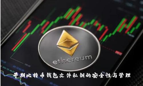 早期比特币钱包文件私钥的安全性与管理