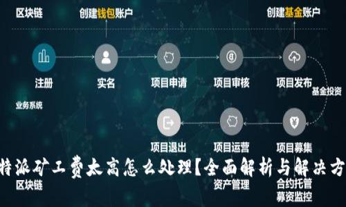 B特派矿工费太高怎么处理？全面解析与解决方案