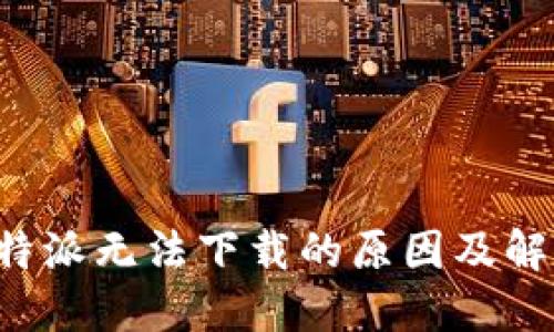 探讨B特派无法下载的原因及解决方案