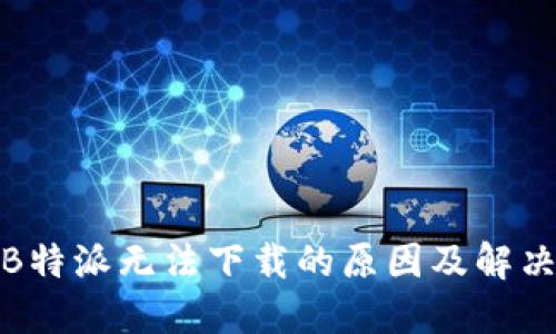 探讨B特派无法下载的原因及解决方案