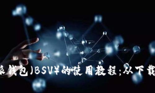 全面解析B特派钱包（BSV）的使用教程：从下载到交易全攻略