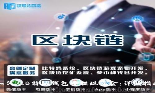 如何从B特派钱包中提现资金：详细指南