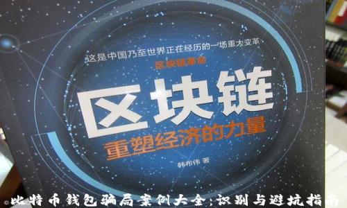 
比特币钱包骗局案例大全：识别与避坑指南