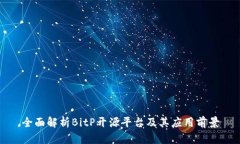全面解析BitP开源平台及其