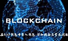 如何在BitP钱包中导入钱包