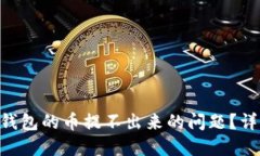 如何解决GSE虚拟钱包的币