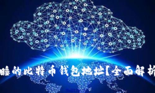 如何找到沉睡的比特币钱包地址？全面解析与技巧分享