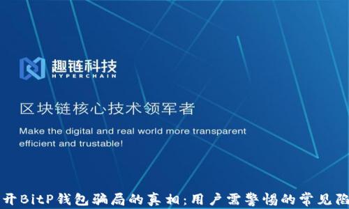 
揭开BitP钱包骗局的真相：用户需警惕的常见陷阱