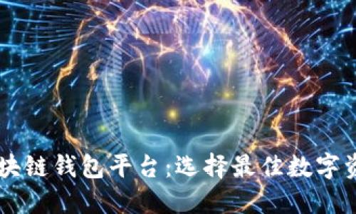 了解北美区块链钱包平台：选择最佳数字资产管理工具