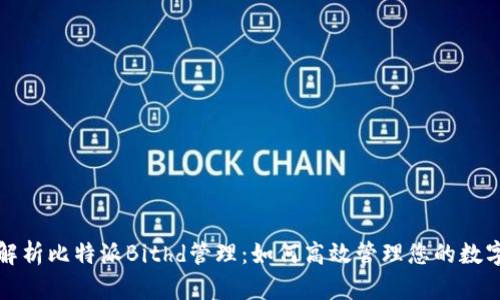 全面解析比特派Bithd管理：如何高效管理您的数字资产