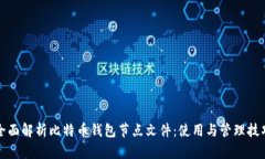 全面解析比特币钱包节点