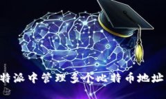 如何在比特派中管理多个