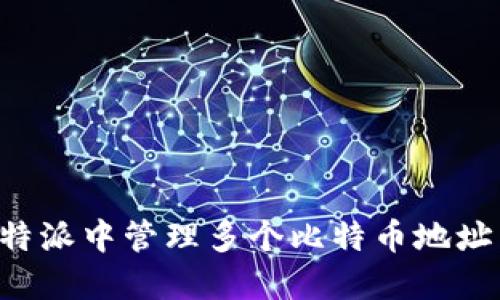 如何在比特派中管理多个比特币地址：详尽指南