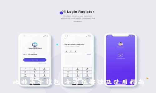 比特币子钱包：全方位解读及使用指南
