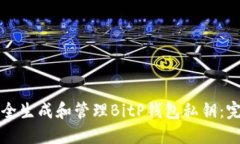 如何安全生成和管理BitP钱