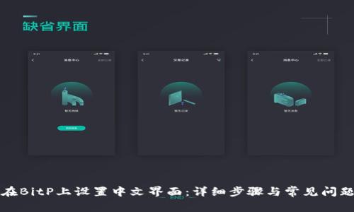 如何在BitP上设置中文界面：详细步骤与常见问题解答