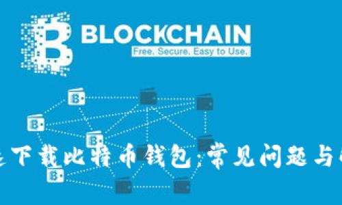 如何快速下载比特币钱包：常见问题与解决方案