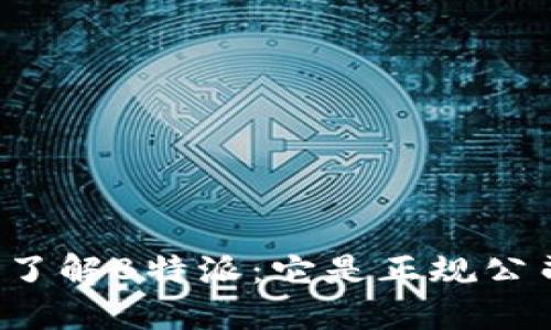 深入了解B特派：它是正规公司吗？