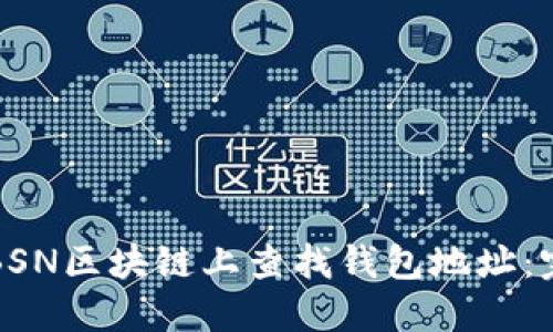 如何在BSN区块链上查找钱包地址：完整指南
