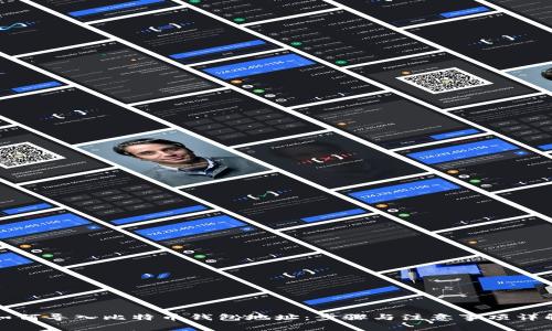 如何导入比特币钱包地址：步骤与注意事项详解