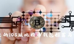 支持中文的iOS版比特币钱