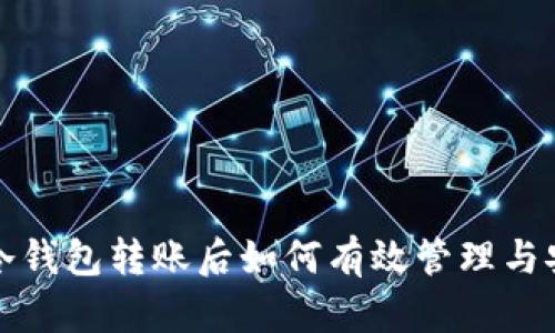 比特币冷钱包转账后如何有效管理与安全防护