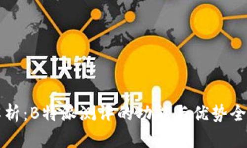 深度解析：B特派测评的功能与优势全面剖析