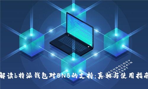 《解读b特派钱包对BNB的支持：真相与使用指南》