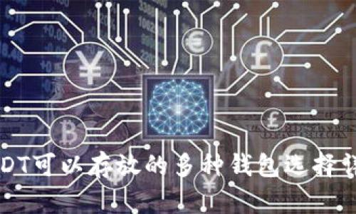 USDT可以存放的多种钱包选择详解