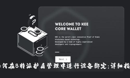 如何在B特派护盾管理中进行设备绑定：详细指南