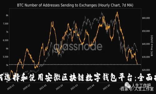 如何选择和使用安徽区块链数字钱包平台：全面指南