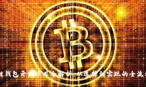 区块链钱包开发项目全解析：从选择到实现的全流程指南