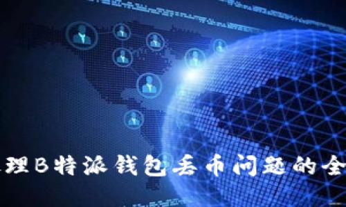 如何处理B特派钱包丢币问题的全面指南