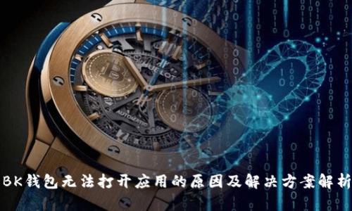 BK钱包无法打开应用的原因及解决方案解析