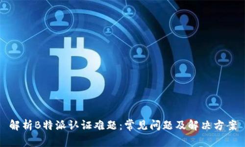 解析B特派认证难题：常见问题及解决方案