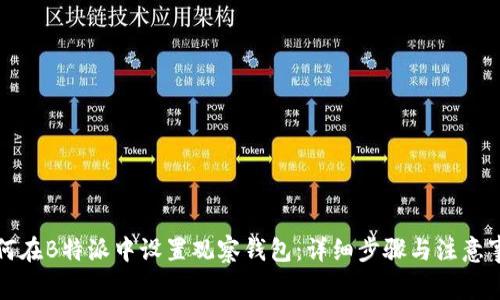 如何在B特派中设置观察钱包：详细步骤与注意事项
