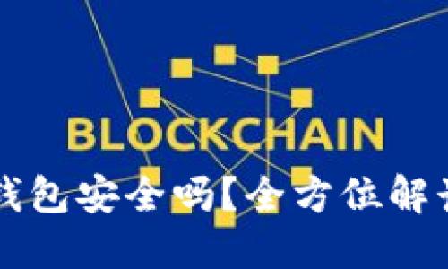 下载以太坊钱包安全吗？全方位解读及安全指南