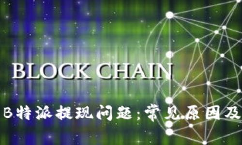 如何解决B特派提现问题：常见原因及解决方案