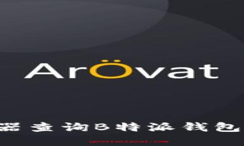 如何使用浏览器查询B特派钱包地址：详细指南