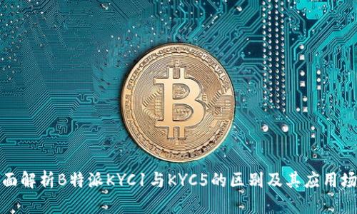 全面解析B特派KYC1与KYC5的区别及其应用场景