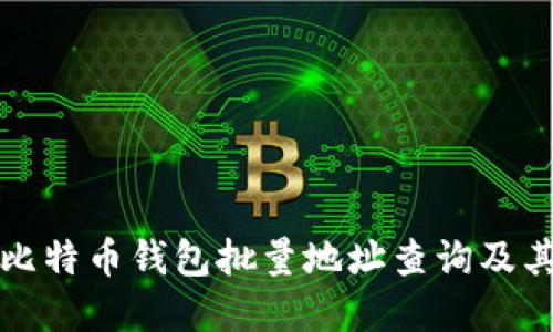如何进行比特币钱包批量地址查询及其最佳实践